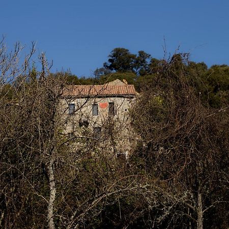 Casa Giacometti Grosseto-Prugna Esterno foto