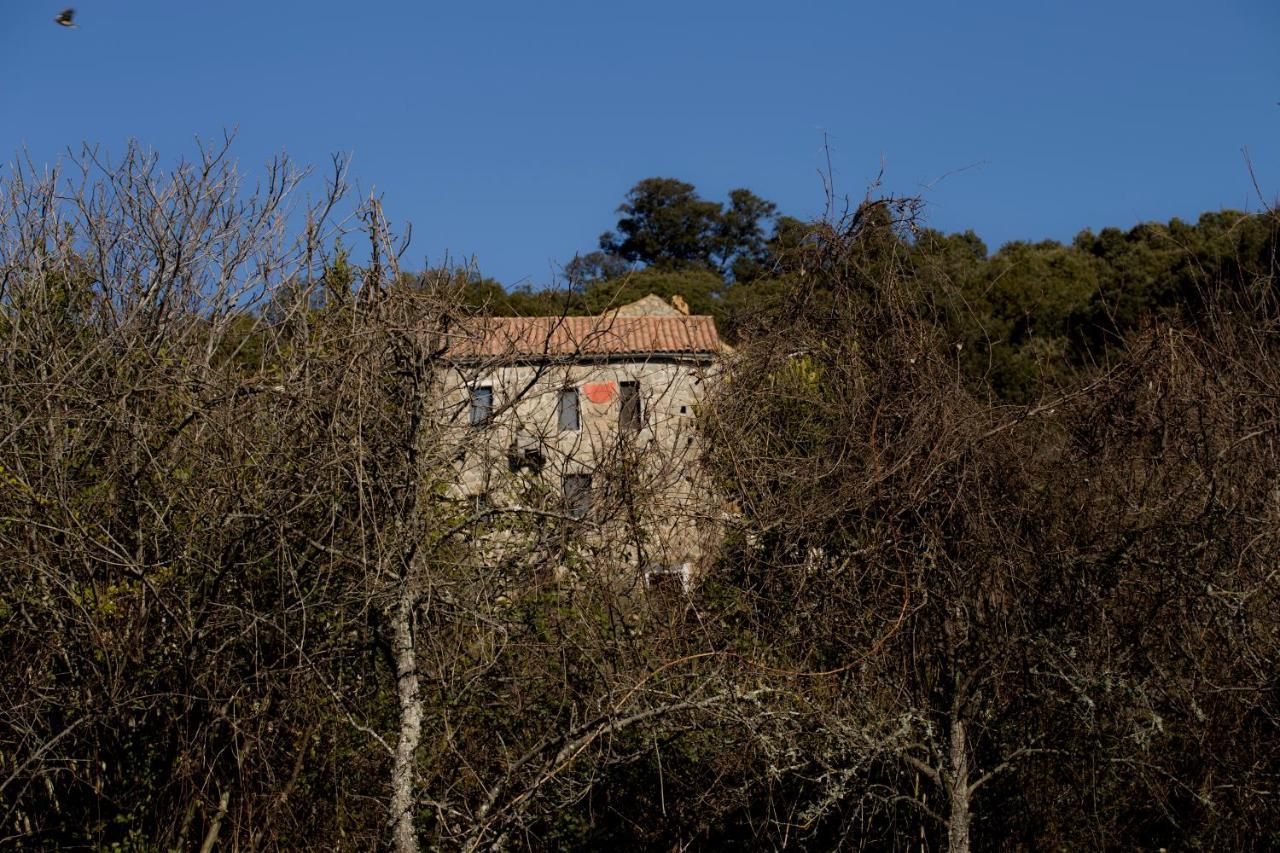 Casa Giacometti Grosseto-Prugna Esterno foto