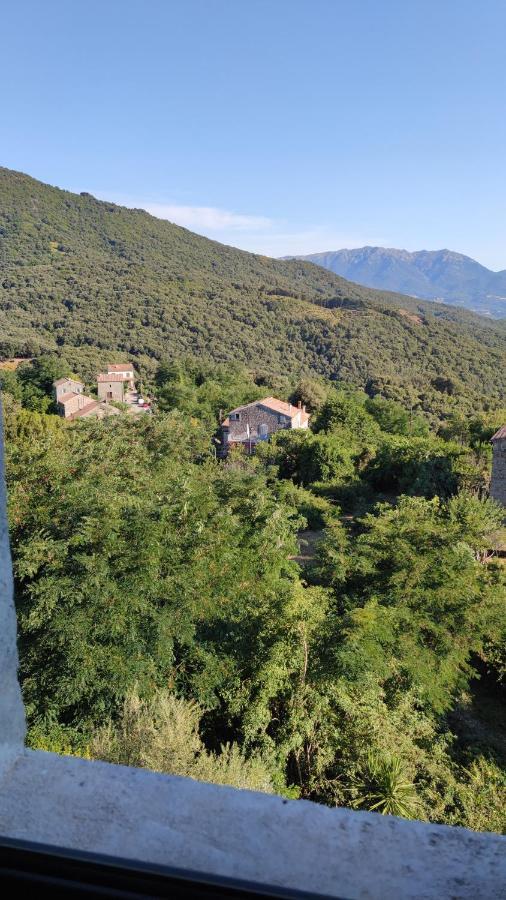 Casa Giacometti Grosseto-Prugna Esterno foto